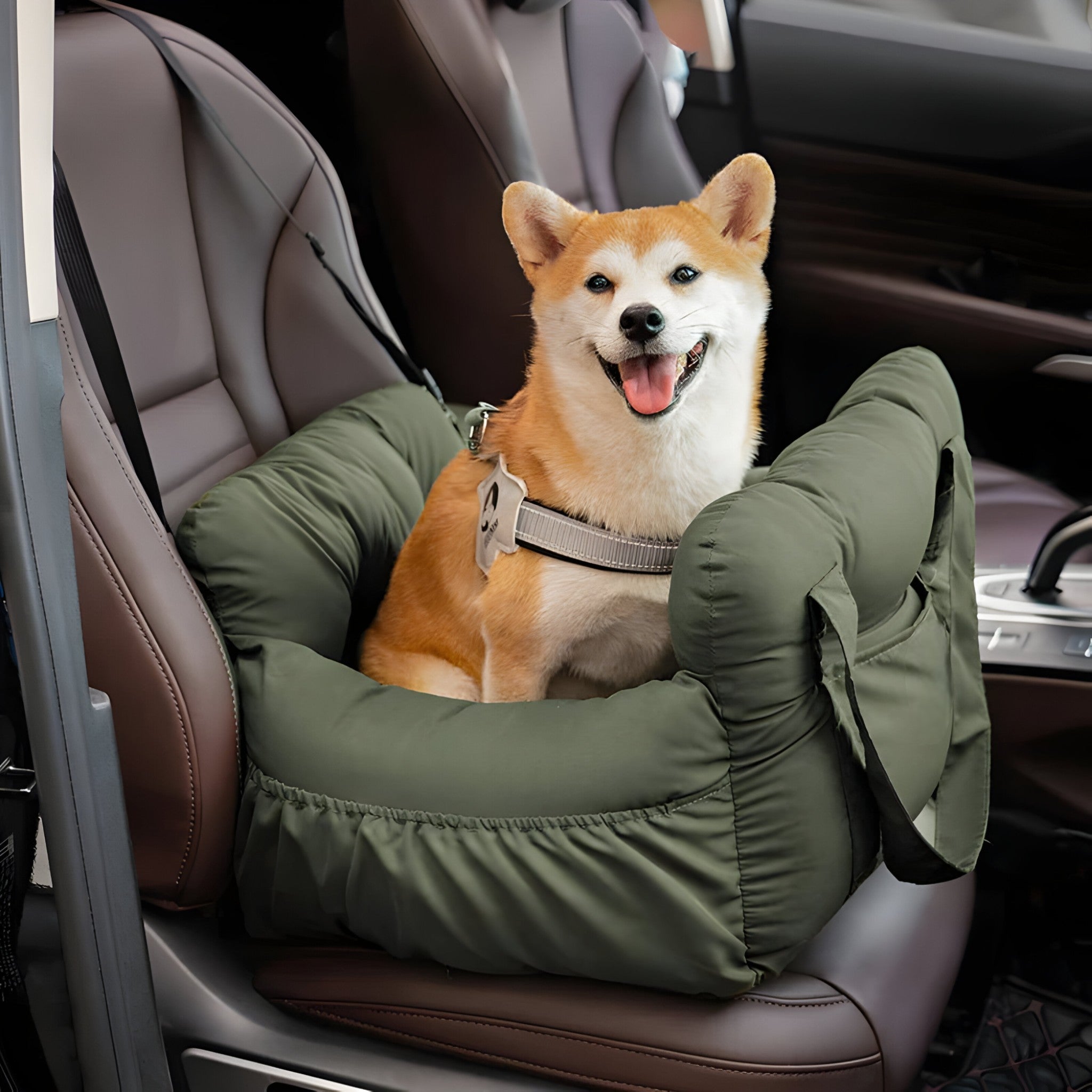 Hund bil seng - - other - {{ product_tags }