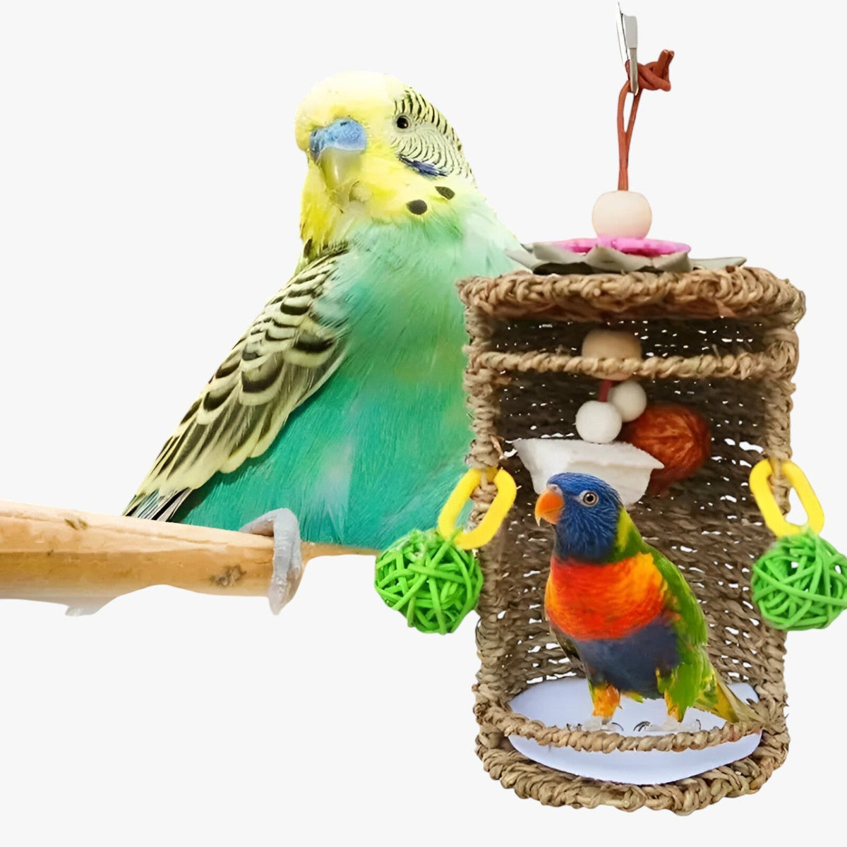 Accogliente rifugio per uccelli - Spazio nido e gioco confortevole - - accogliente accogliente rifugio bird bird house birdproduct confortevole gioco nido pets & supplies rifugio spazio - Concept Palermo