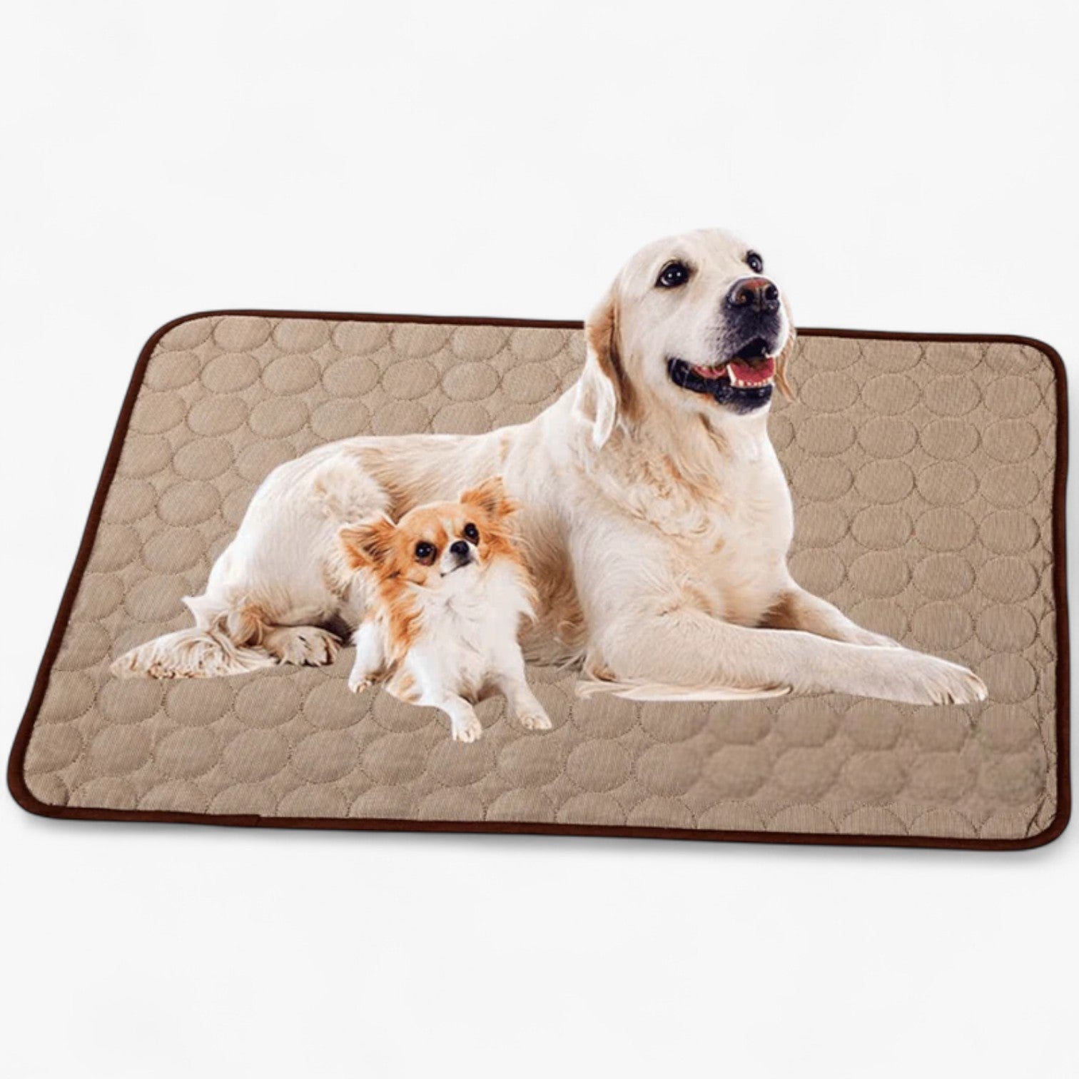 Forfriskende måtte til hunde - - other - {{ product_tags }
