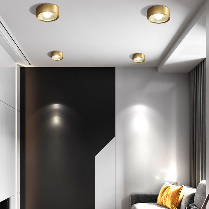 Nordic Ultra-Thin LED Flush Mount Ceiling Light