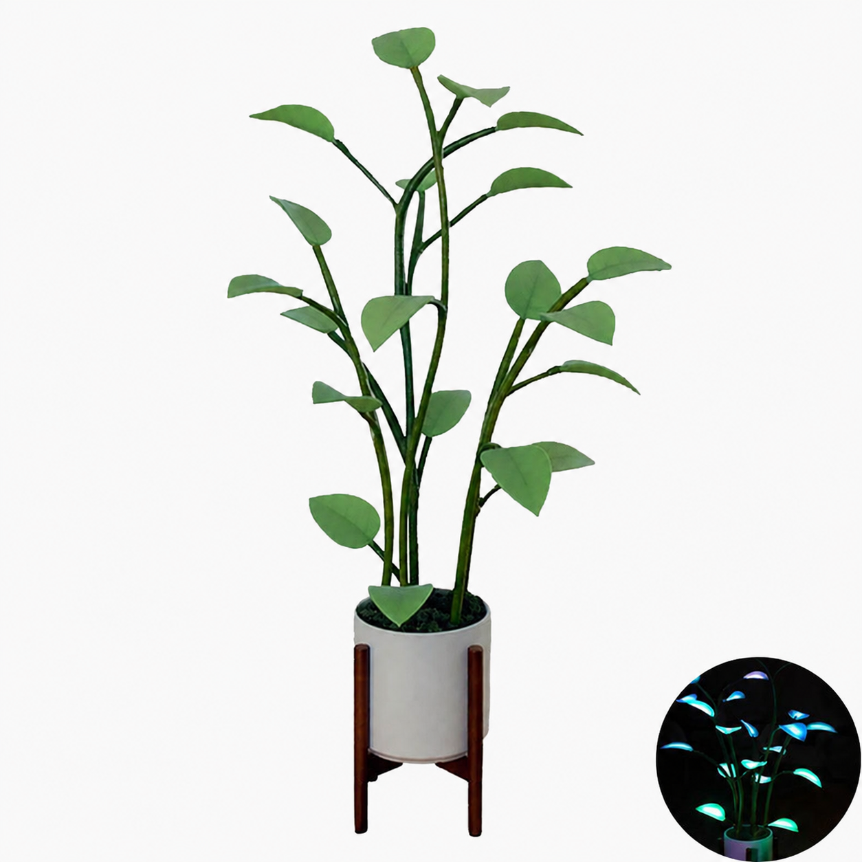 Magic LED Plant-Shaped Lamp - Indoor Luminous Home Decoration