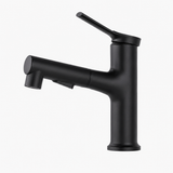 Pull-Out Single-Lever Bathroom Basin Faucet