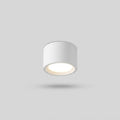 Nordic Cylinder Spotlight LED Flush Mount Ceiling Light