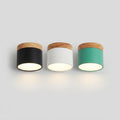 Scandinavian LED Flush Mount Ceiling Light
