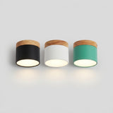 Scandinavian LED Flush Mount Ceiling Light