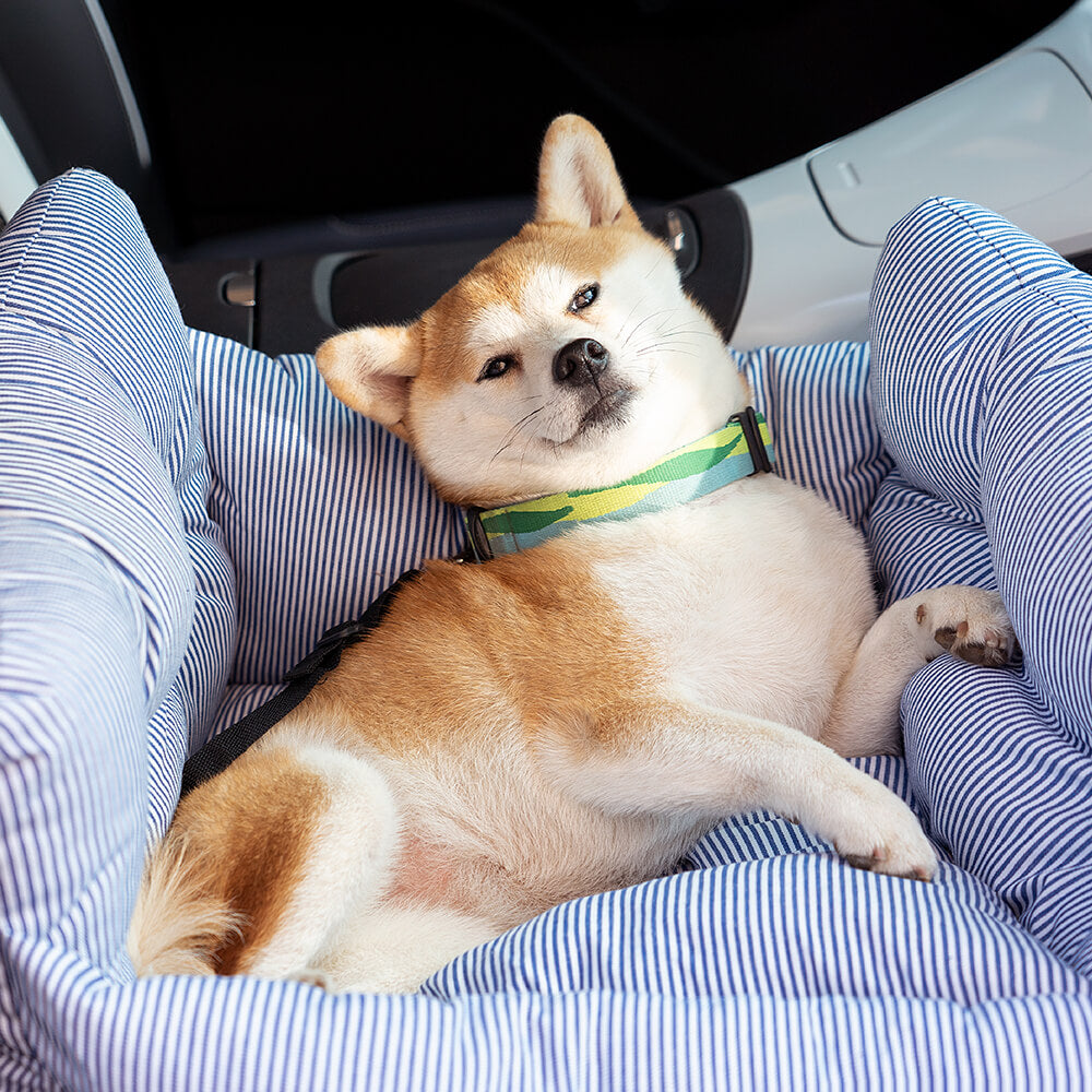 Hund bil seng - - other - {{ product_tags }