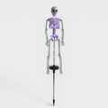 Solar Skeleton Garden Stake Light - LED Halloween Yard Decor