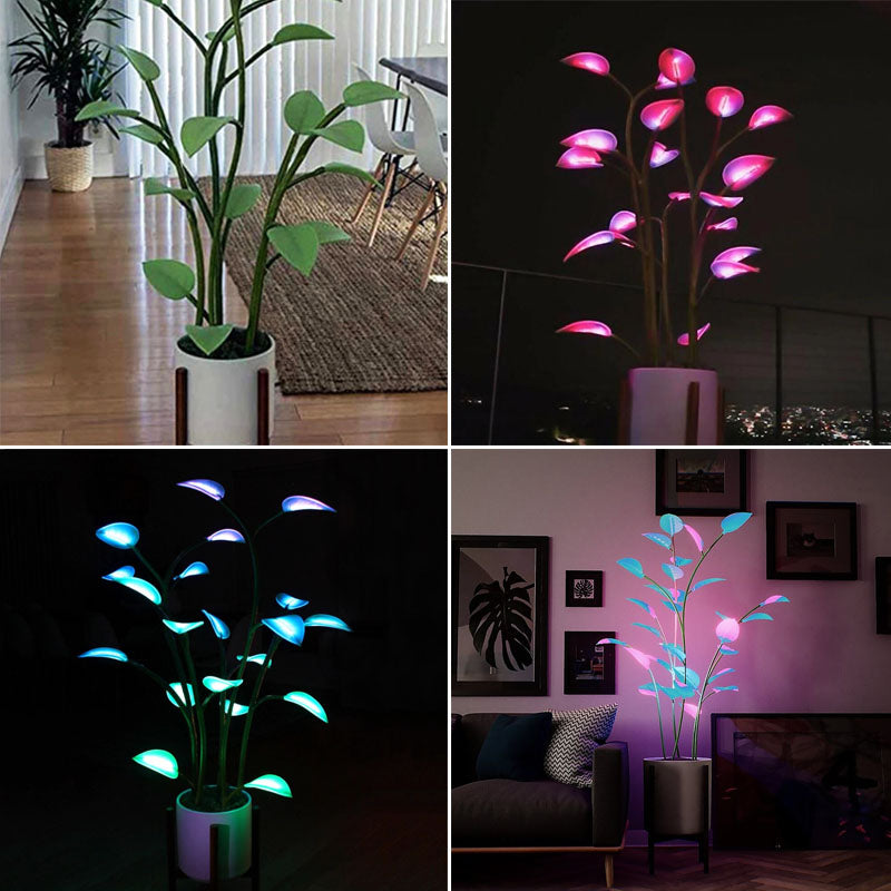 Lampada LED Magica™ a forma di pianta, decorazione luminosa da tavolo per interni - - all home Home & Garden magica new_for_google pianta pianta magica - Concept Palermo