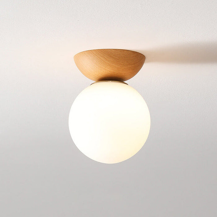 Globe LED Ceiling Light - Flush Mount
