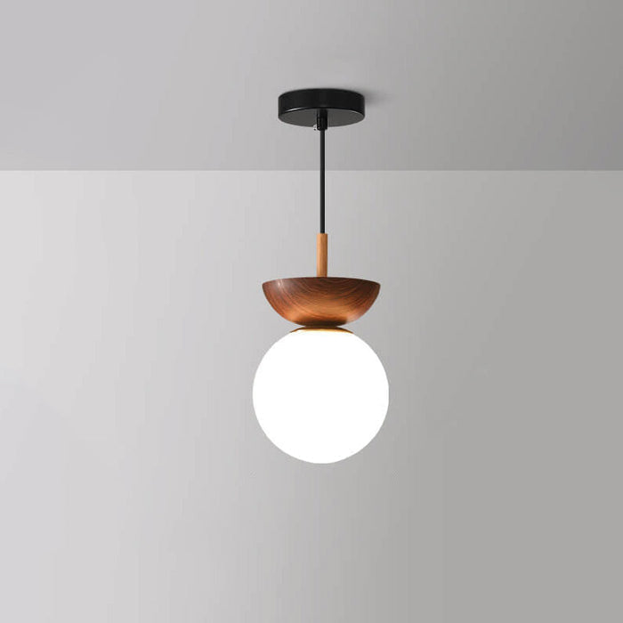 Globe LED Ceiling Light - Flush Mount
