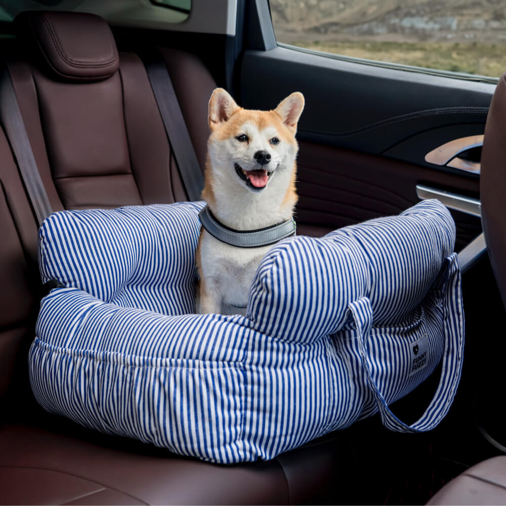 Hund bil seng - - other - {{ product_tags }