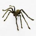Giant Halloween Spider Realistic