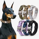 Durable Tactical Dog Collar Set
