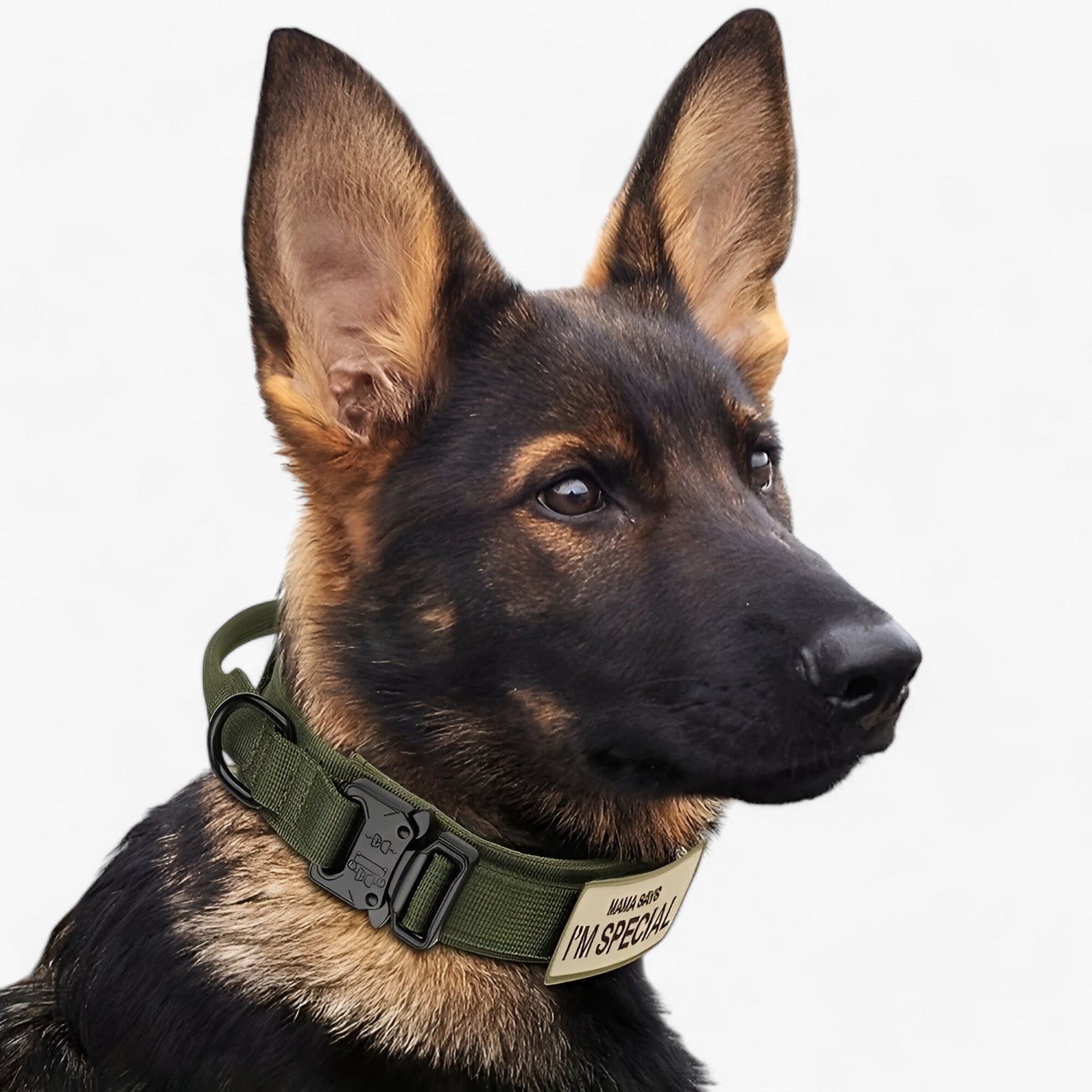 Brodie| Taktisk hundehalsbånd med håndtag til træning - Camouflage Sæt - other - {{ product_tags }