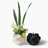 Uni Vase | Modern and Stylish Vases for Every Room