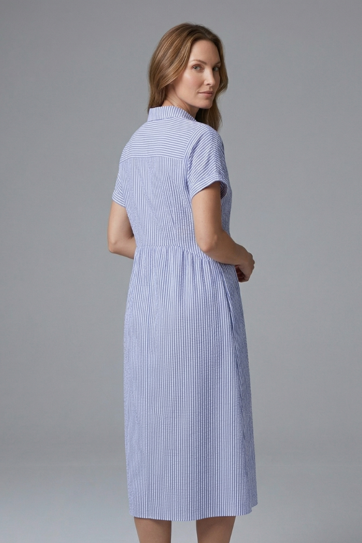 Women's Midi Dress with Collar with Buttons