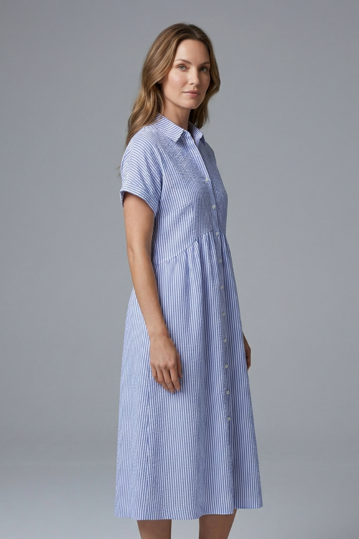 Women's Midi Dress with Collar with Buttons