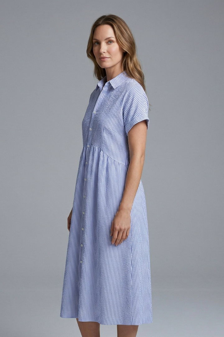 Women's Midi Dress with Collar with Buttons