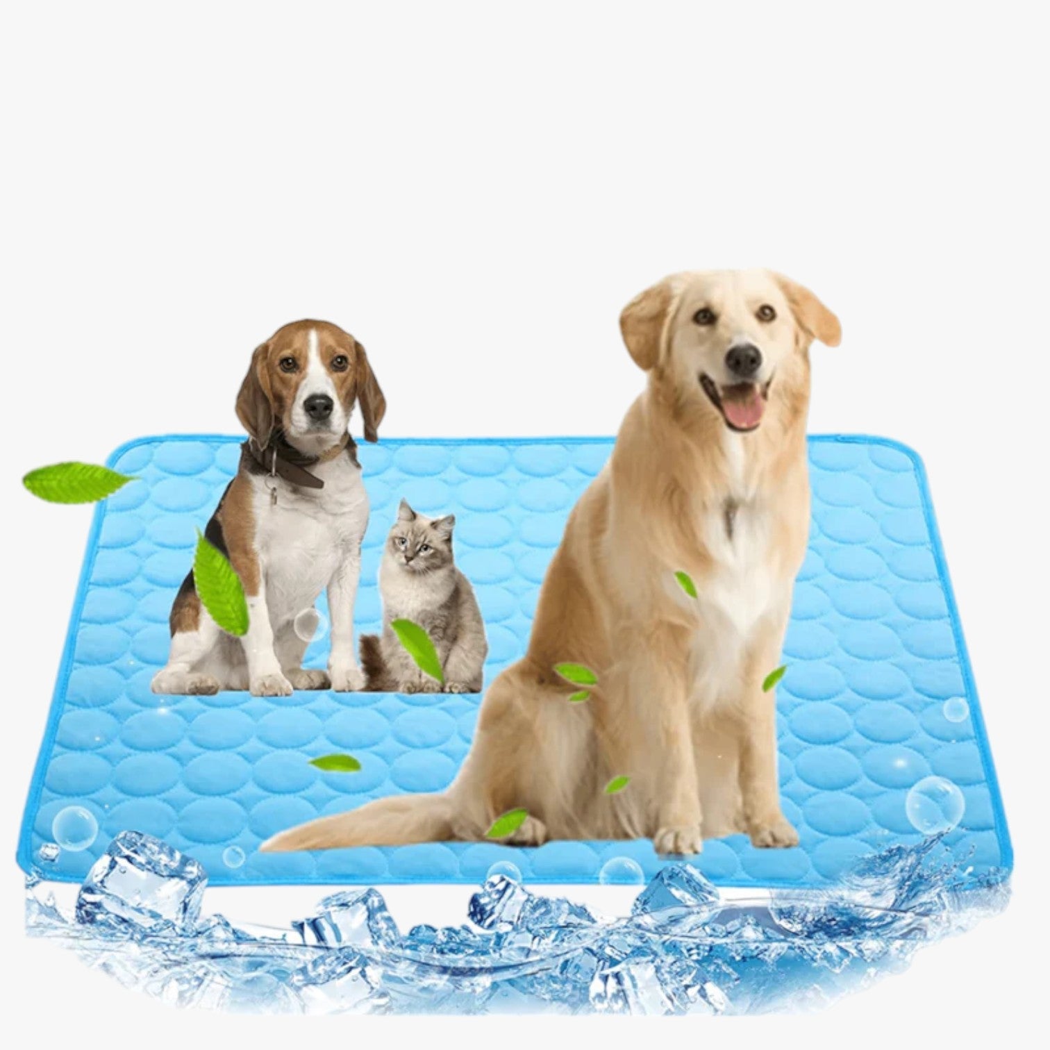 Forfriskende måtte til hunde - Blå - other - {{ product_tags }