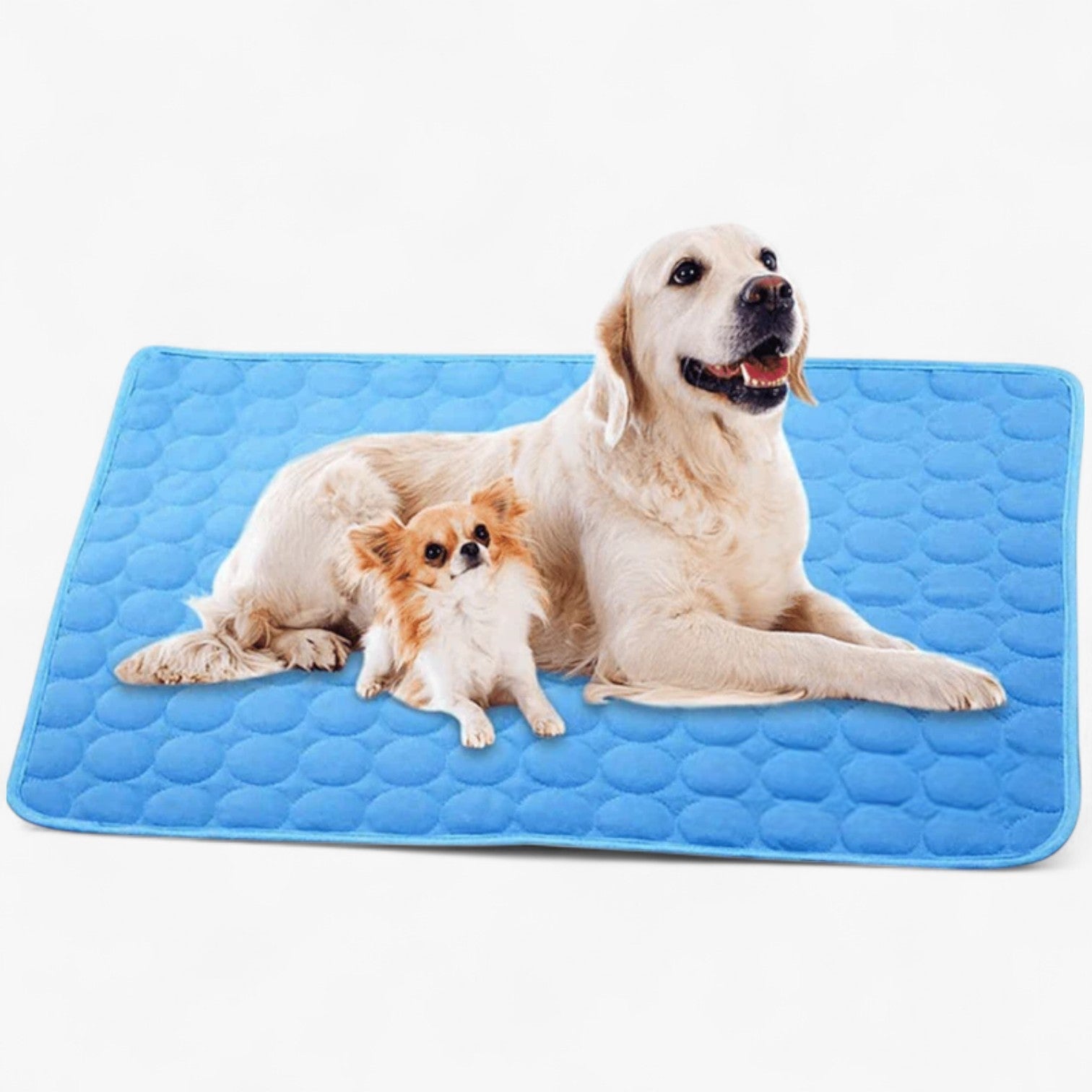 Forfriskende måtte til hunde - - other - {{ product_tags }